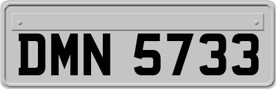 DMN5733