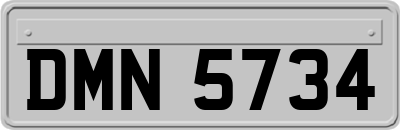 DMN5734