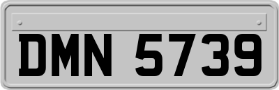 DMN5739