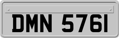 DMN5761