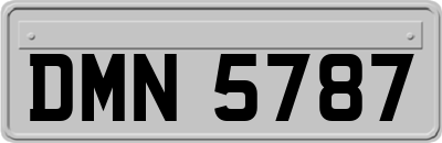DMN5787