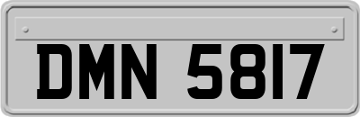 DMN5817