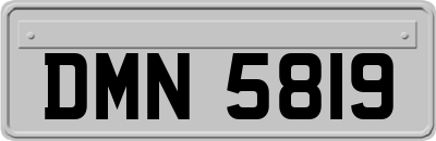DMN5819