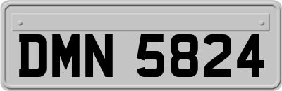 DMN5824