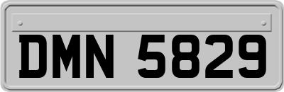 DMN5829