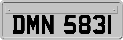 DMN5831