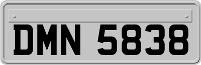 DMN5838