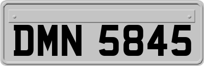 DMN5845
