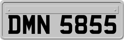 DMN5855