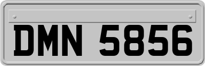 DMN5856