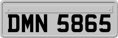 DMN5865