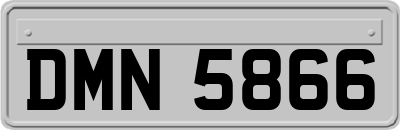 DMN5866