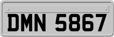 DMN5867