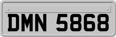 DMN5868