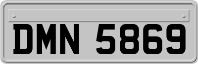 DMN5869