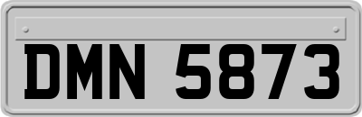 DMN5873
