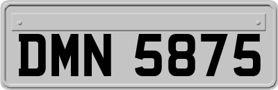 DMN5875