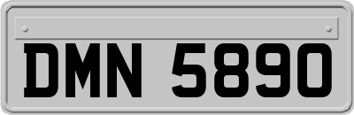 DMN5890