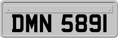 DMN5891