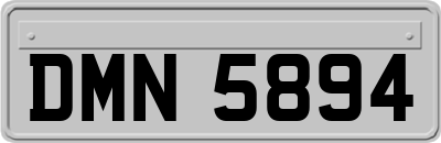 DMN5894