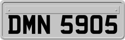 DMN5905