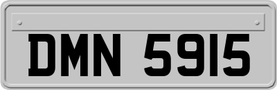 DMN5915