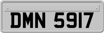 DMN5917