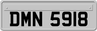 DMN5918