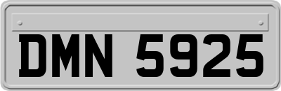 DMN5925