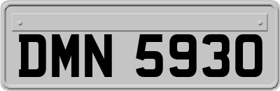 DMN5930