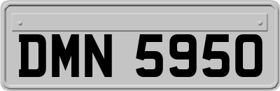DMN5950