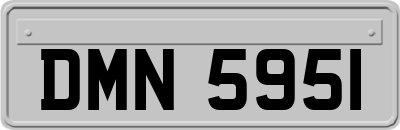 DMN5951