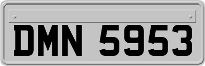 DMN5953