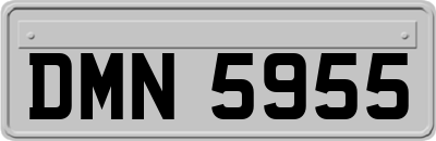 DMN5955