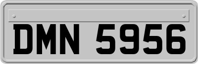 DMN5956