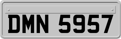 DMN5957