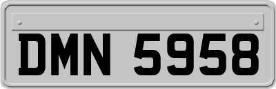 DMN5958