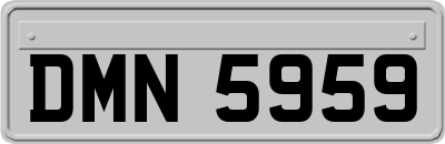 DMN5959