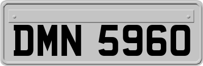 DMN5960