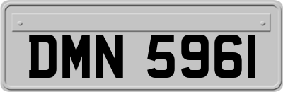 DMN5961