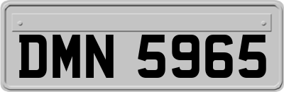 DMN5965