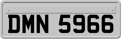 DMN5966