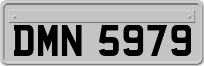 DMN5979