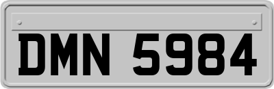 DMN5984