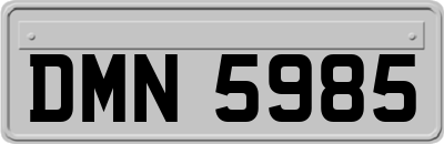 DMN5985
