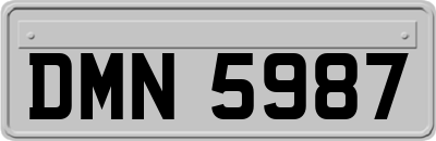 DMN5987