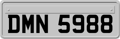 DMN5988