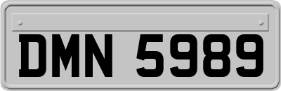 DMN5989