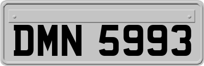 DMN5993