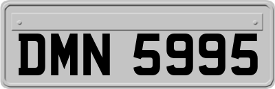 DMN5995